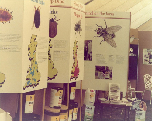 1977 commercial exhibition3