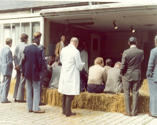 1977 Wallace Deas, Senior VIO discusses fertility testing of rams & pregnancy diagnosis in ewes