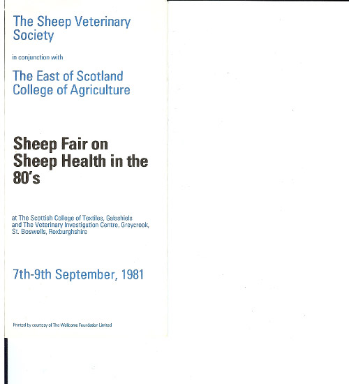 1981 programme1